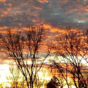 Meet your Posher, Jillian